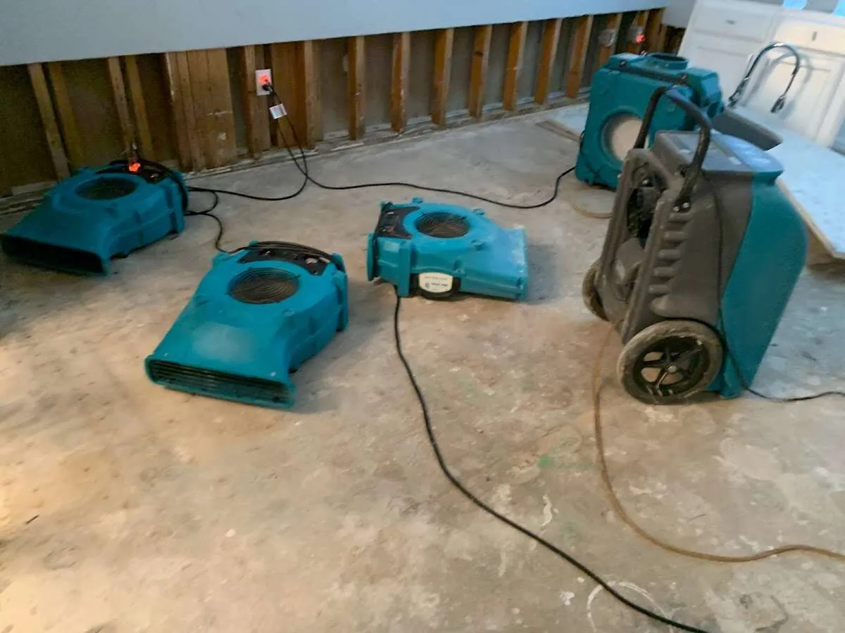 Water Damage Restoration services in Doolittle, TX